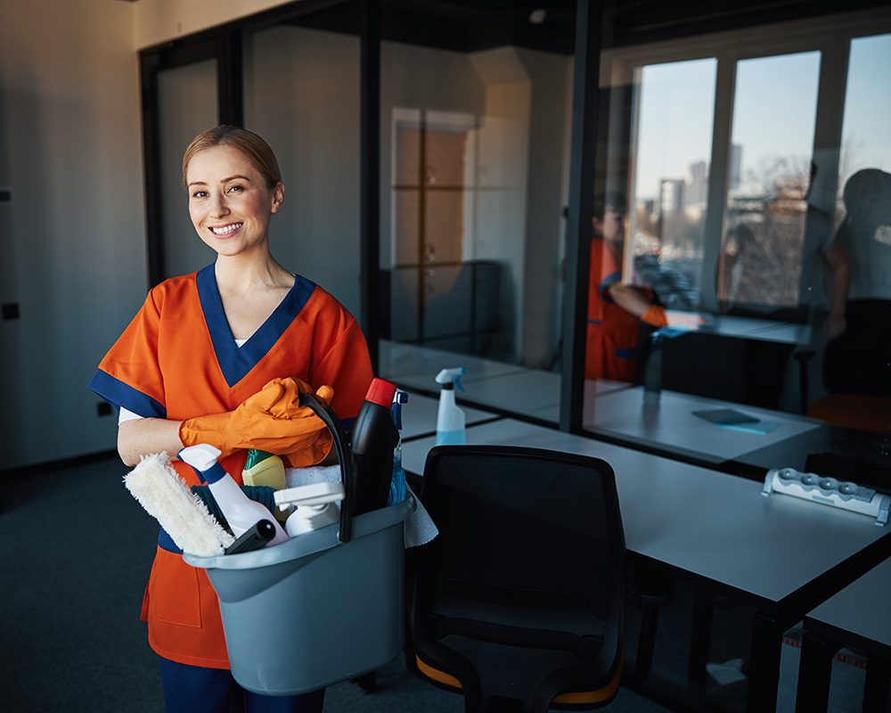 Janitorial Services DMS Professional