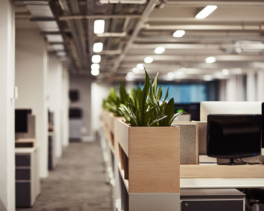 Commercial Cleaning Office DMS Janitorial